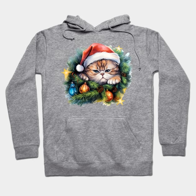 Lazy Exotic Shorthair Cat At Christmas Hoodie by Chromatic Fusion Studio